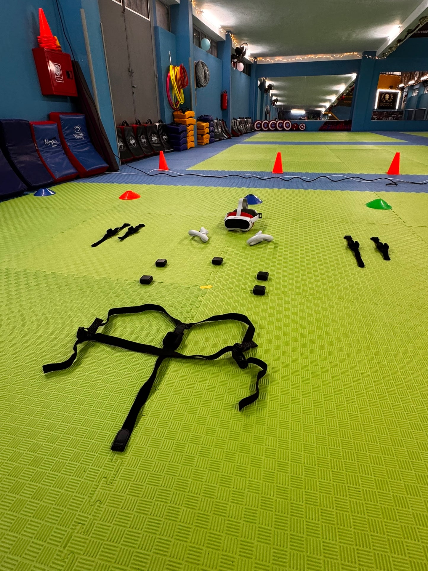 Virtual Taekwondo Πλήρες Σύστημα 2 Παικτών